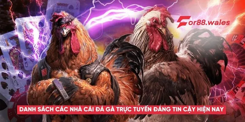 Danh sách các nhà cái đá gà trực tuyến đáng tin cậy hiện nay.